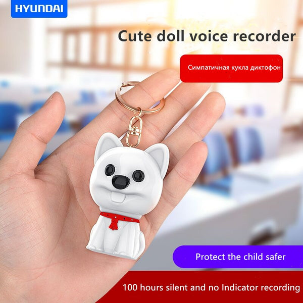 Digital voice recorder